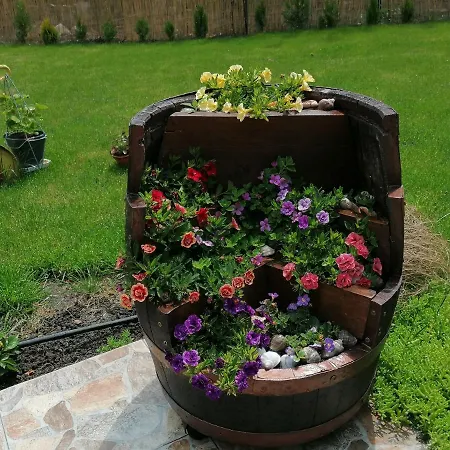 морски изгрев ゲストハウス 3*