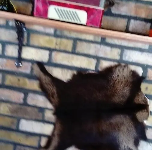 морски изгрев